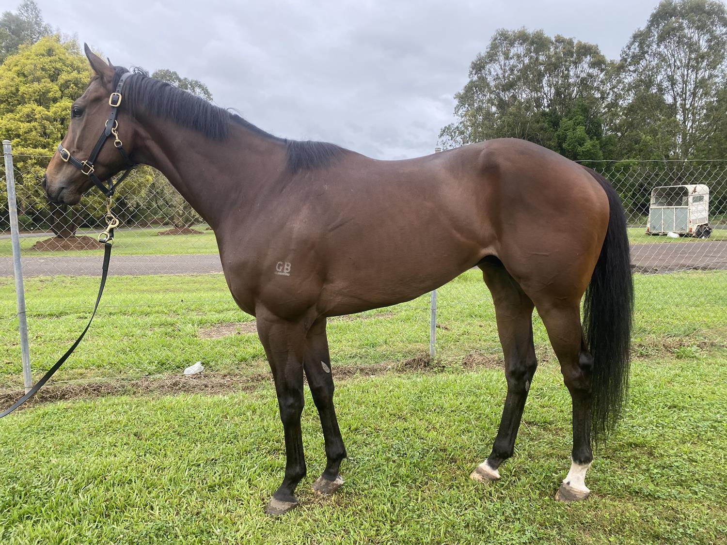 2022 OCTOBER (Late) Online Sale Inglis Digital Online Auctions